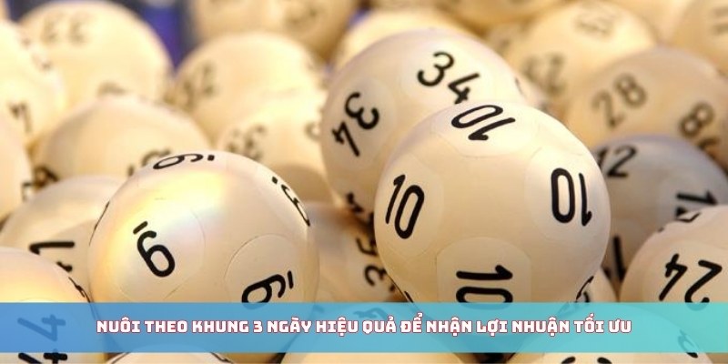 Nuôi theo khung 3 ngày hiệu quả để nhận lợi nhuận tối ưu
