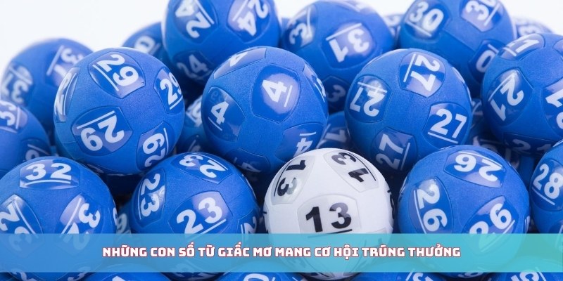Những con số từ giấc mơ mang cơ hội trúng thưởng