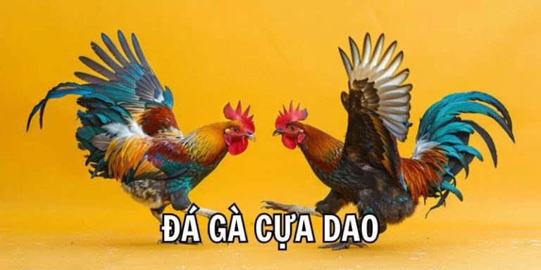 Chiến thắng đá gà cựa dao tk88 từ kinh nghiệm của cao thủ