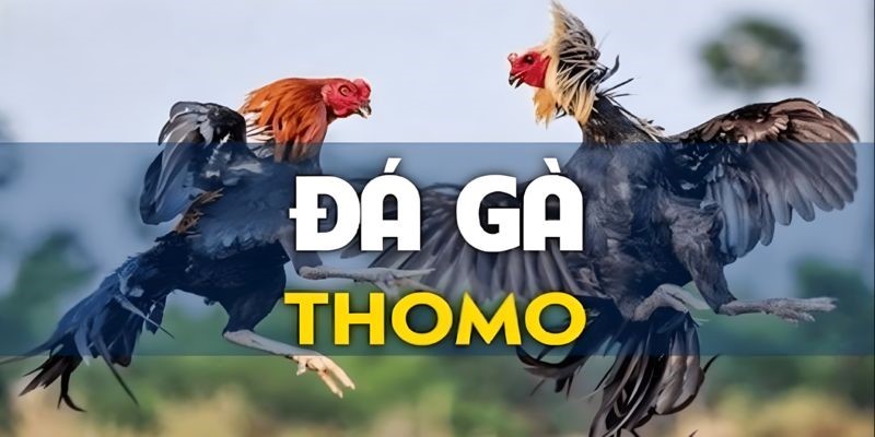 Cảm nhận sức nóng từ những pha đối đầu nghẹt thở