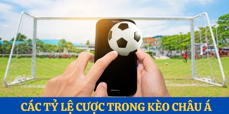 Một vài tỷ lệ cược trong kèo châu á bóng đá tk88